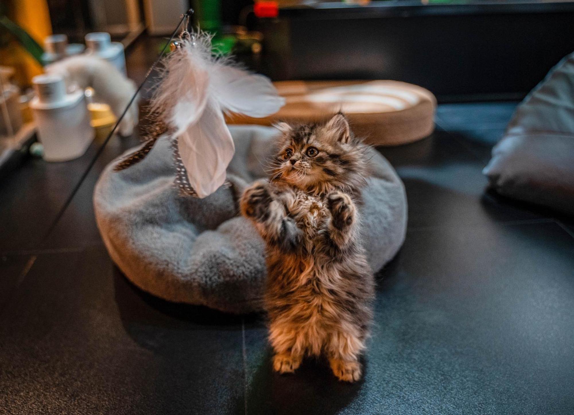 Hesu Designer Hotel & Suites -Near Xi'An Drum Tower And Yongning Gate -Free Laundry Luggage Storage -Kitty Cafe With Freshly Ground Coffee -24H Front Desk -English Service Экстерьер фото