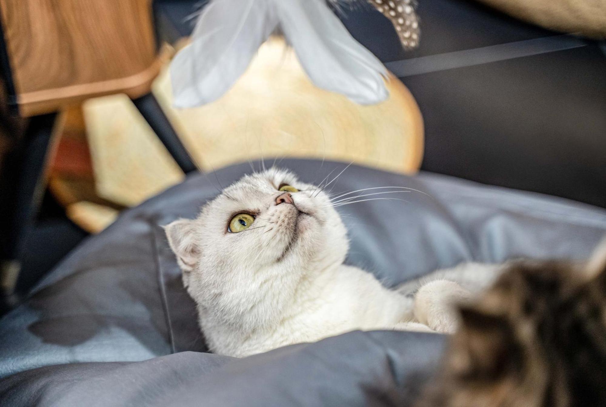 Hesu Designer Hotel & Suites -Near Xi'An Drum Tower And Yongning Gate -Free Laundry Luggage Storage -Kitty Cafe With Freshly Ground Coffee -24H Front Desk -English Service Экстерьер фото